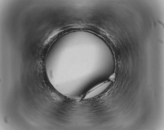 X0000095111304200712211312