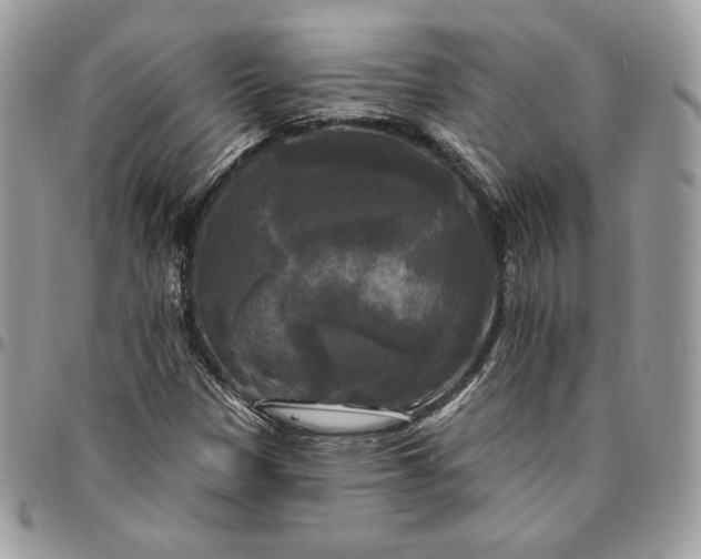 X0000095111305200712211312