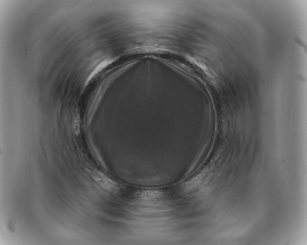 X0000095111306200712211312