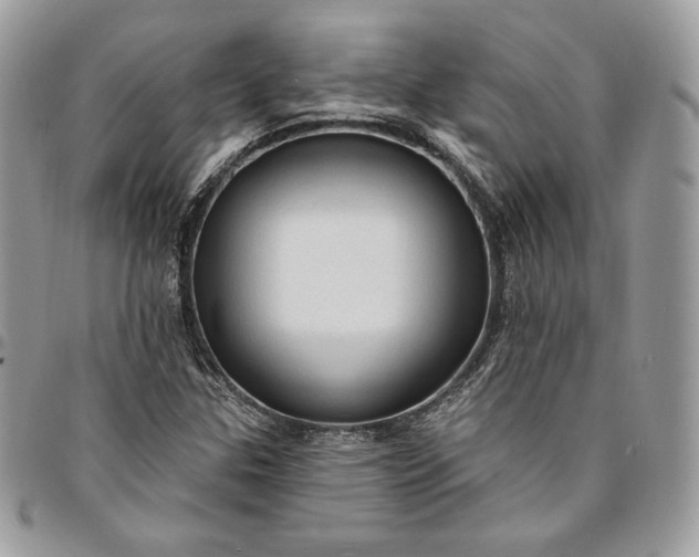 X0000095111307200712211312