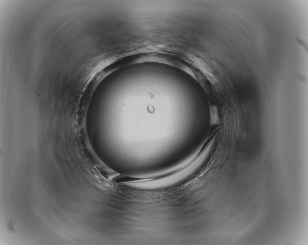 X0000095111308200712211312