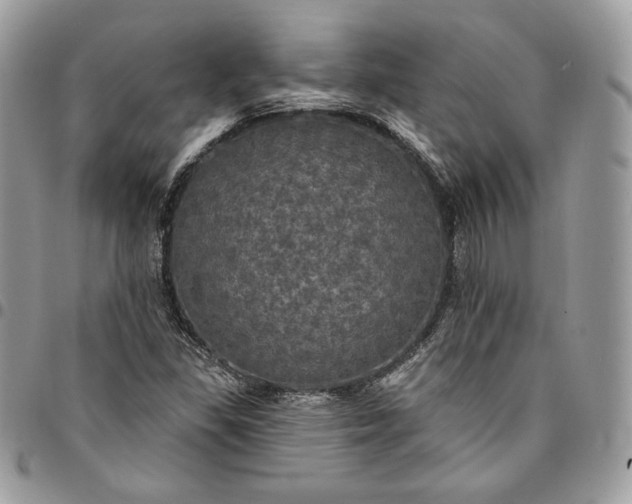 X0000095111309200712211312