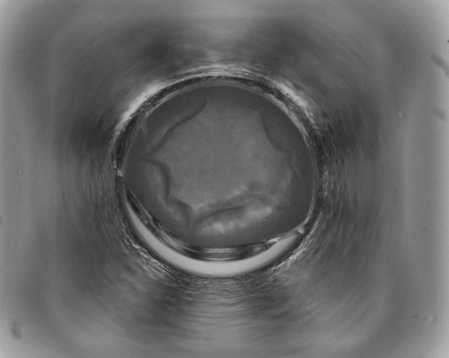 X0000095111310200712211312