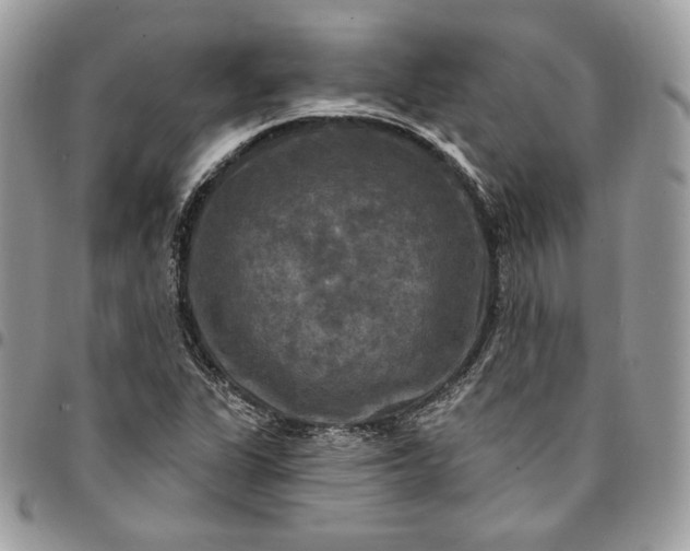 X0000095111311200712211312