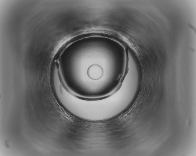 X0000095111312200712211312