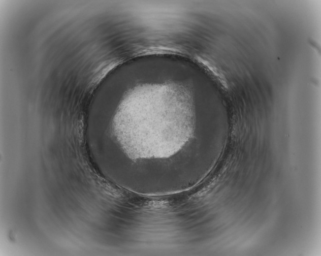 X0000095111313200712211312