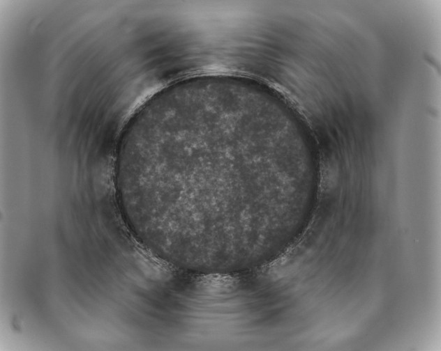 X0000095111314200712211312