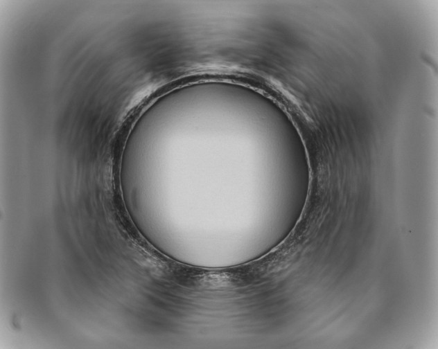 X0000095111315200712211312