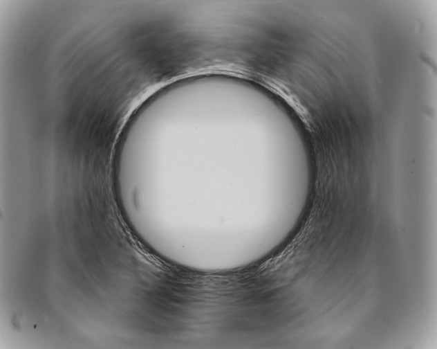 X0000095111316200712211312