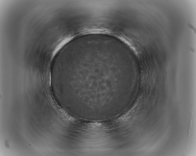 X0000095111317200712211312