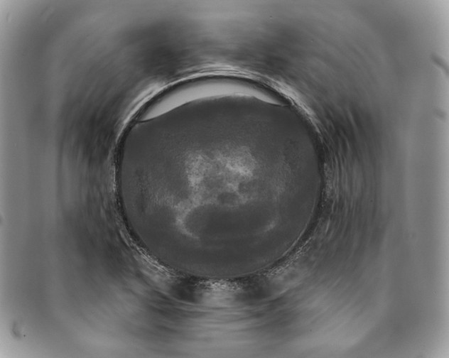 X0000095111318200712211312