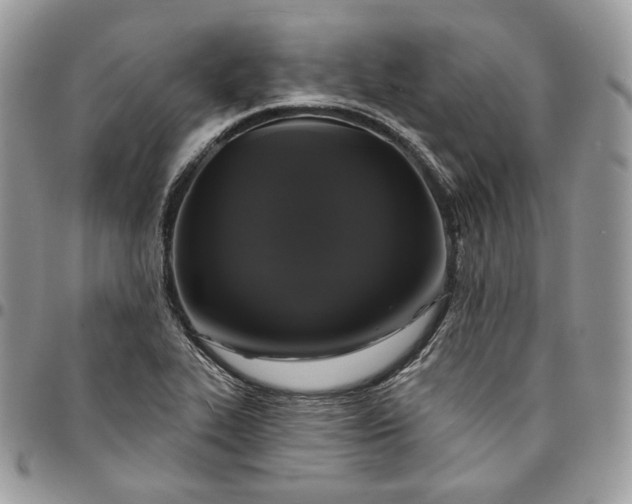 X0000095111319200712211312