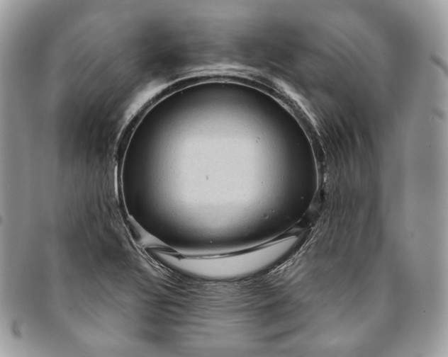 X0000095111320200712211312