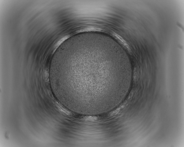 X0000095111321200712211312