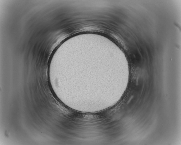 X0000095111322200712211312