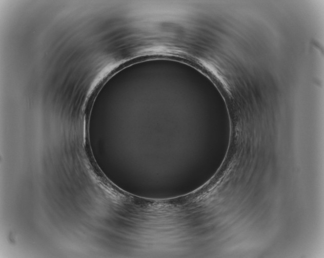 X0000095111323200712211312