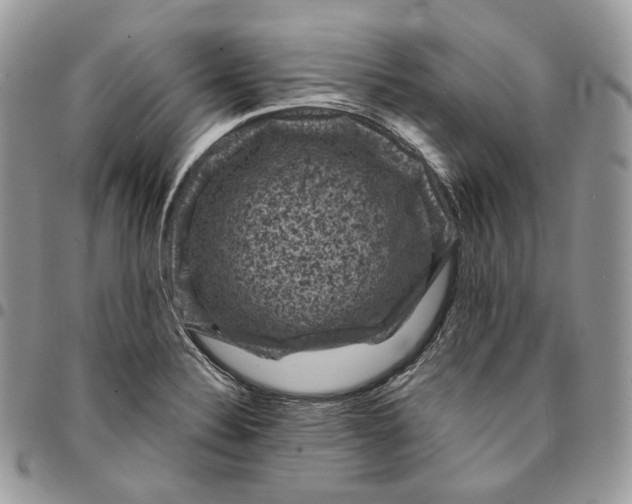 X0000095111324200712211312