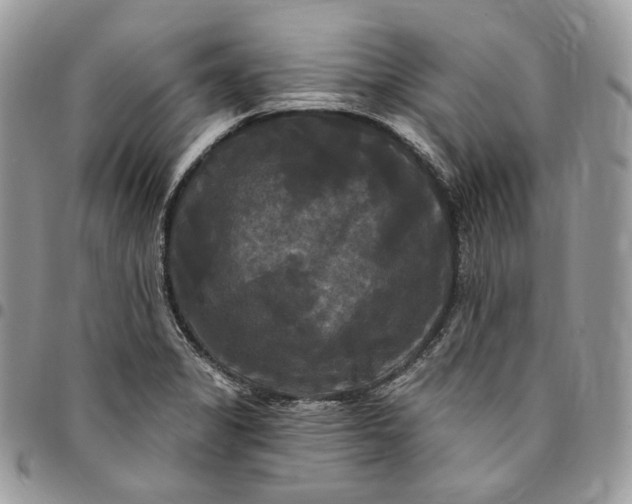 X0000095111325200712211312