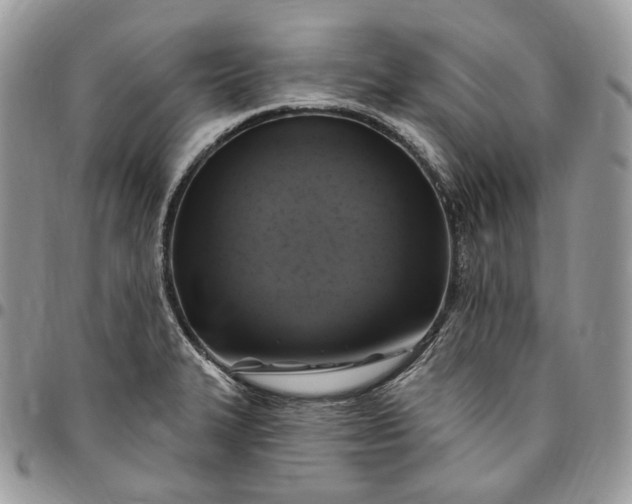 X0000095111327200712211312