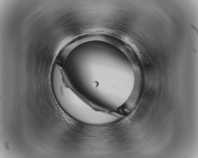 X0000095111328200712211312