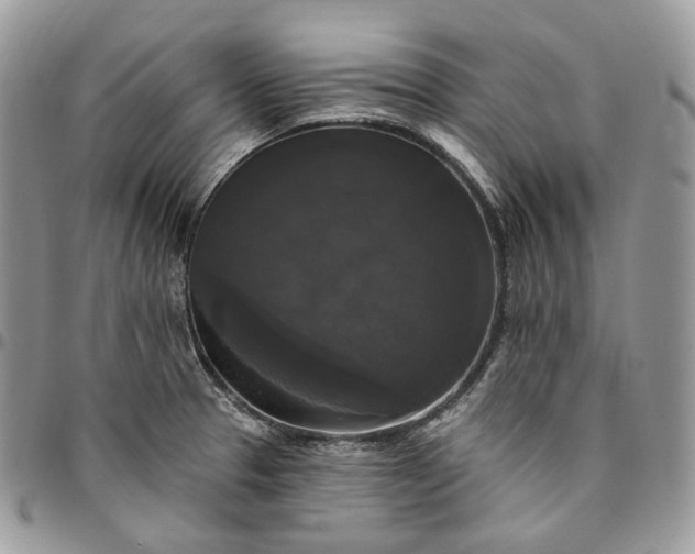 X0000095111329200712211312