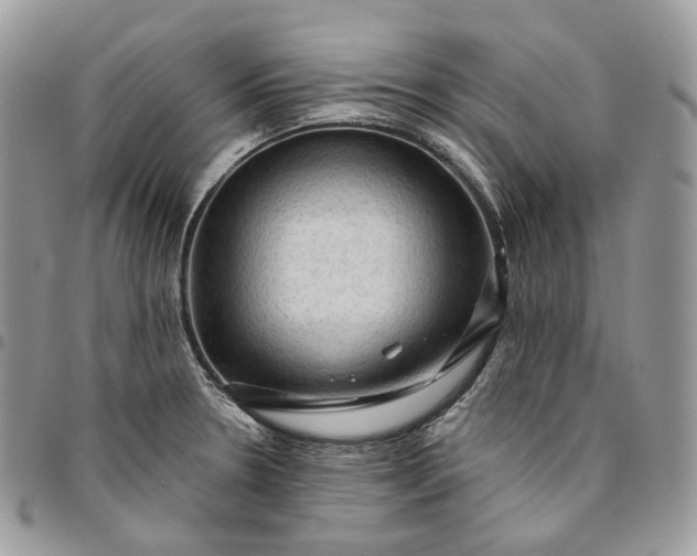 X0000095111330200712211312