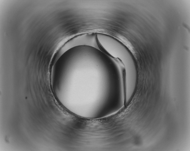 X0000095111332200712211312