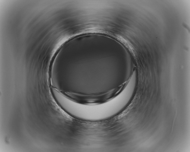 X0000095111334200712211312