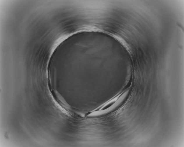 X0000095111335200712211312