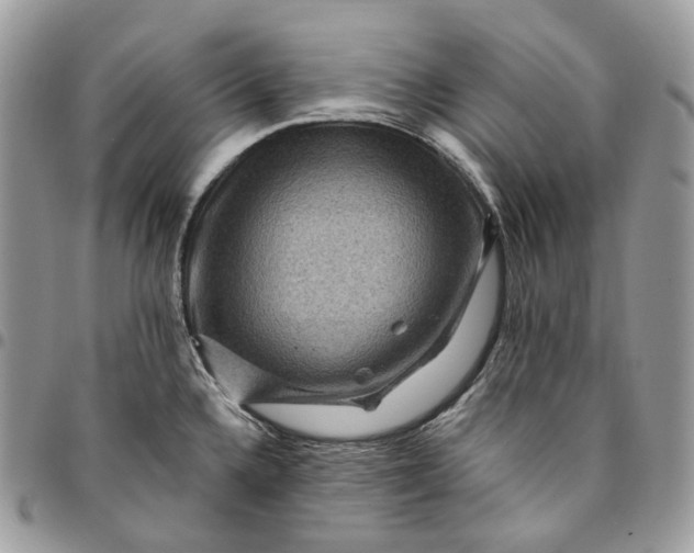 X0000095111336200712211312