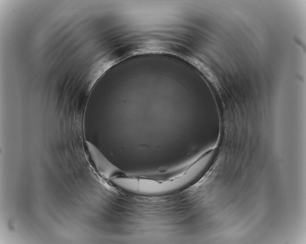 X0000095111337200712211312