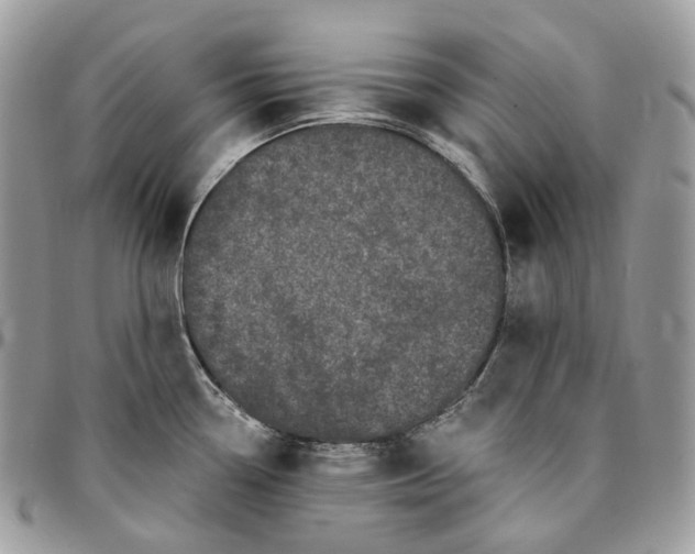 X0000095111338200712211312