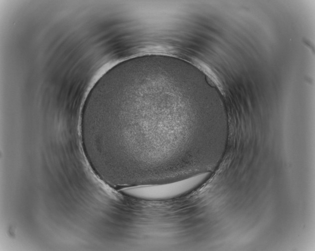 X0000095111339200712211312