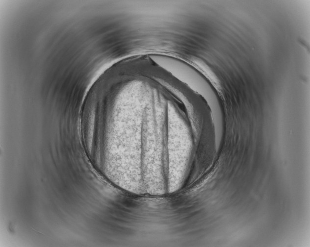 X0000095111340200712211312
