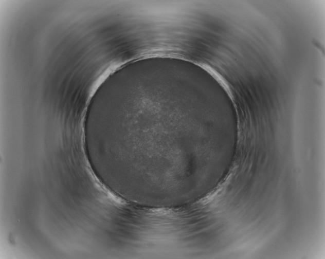 X0000095111341200712211312