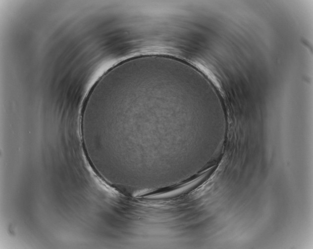 X0000095111342200712211312