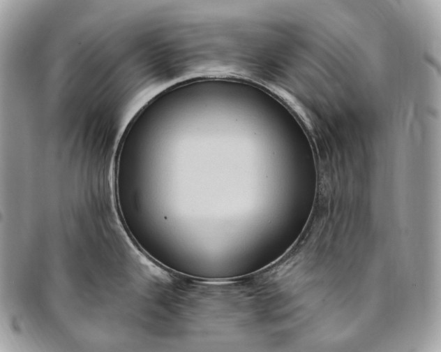 X0000095111343200712211312