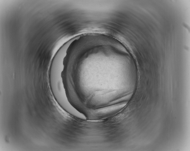 X0000095111344200712211312