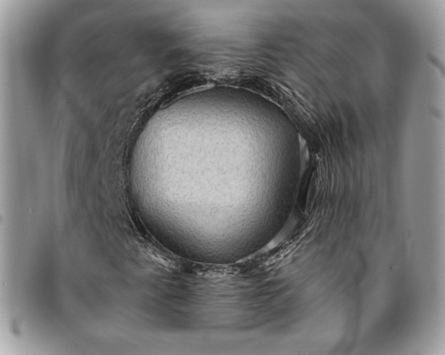 X0000095111345200712211311