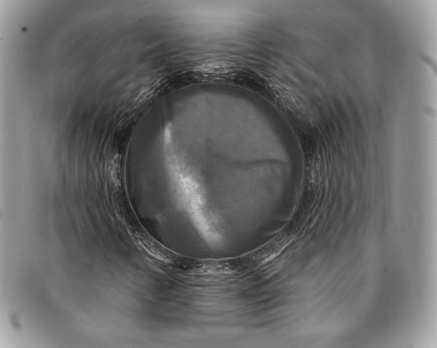 X0000095111346200712211311