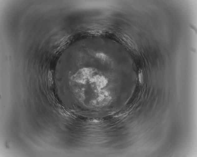 X0000095111347200712211311