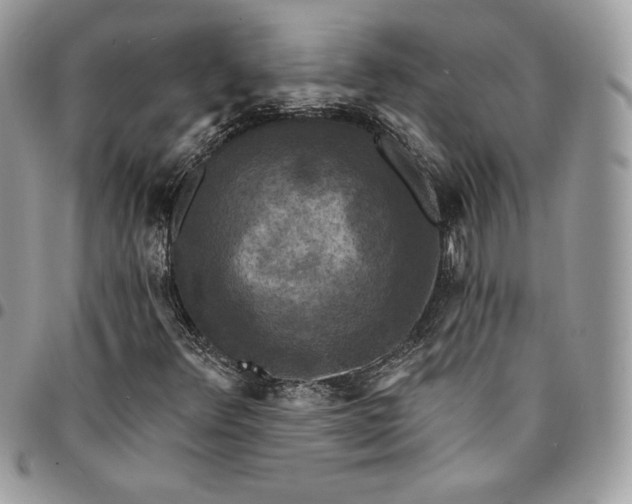 X0000095111348200712211311