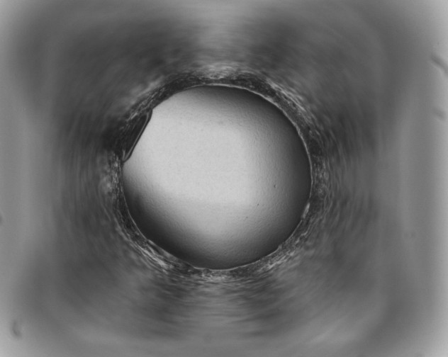 X0000095111349200712211311