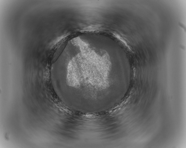 X0000095111350200712211311