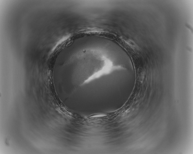 X0000095111351200712211311