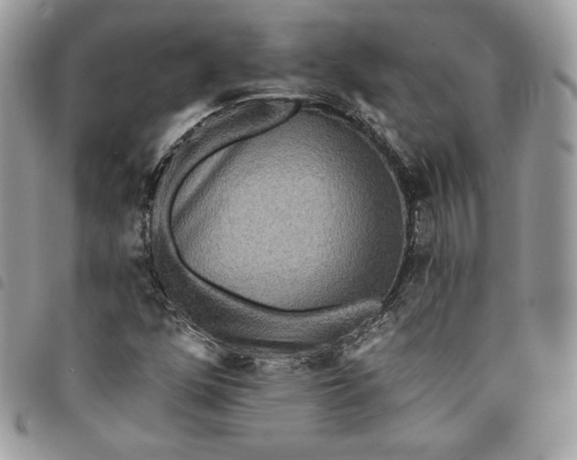 X0000095111352200712211311