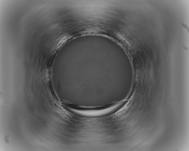 X0000095111353200712211311