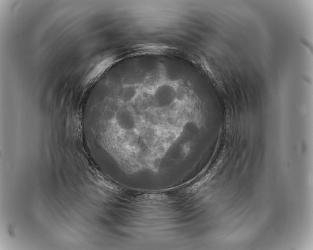 X0000095111354200712211311