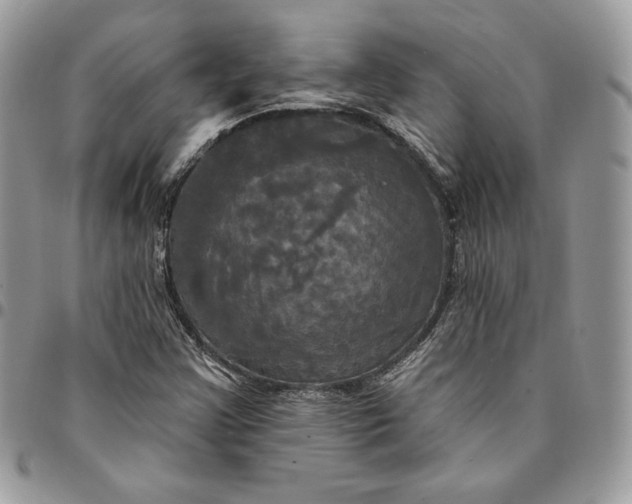 X0000095111355200712211311