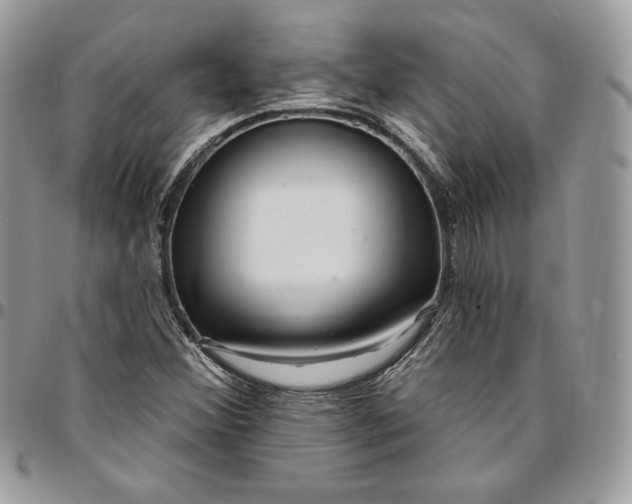 X0000095111356200712211311